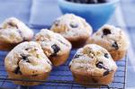 American Gluten And Dairyfree Muffins Recipe Dessert