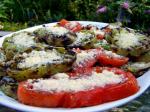 American Grilled Green or Red Tomato With Herbs Appetizer