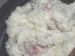 Red Skin Mashed Potatoes 1 recipe