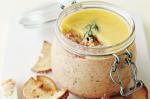 Canadian Salmon Rillettes With Bagel Toasts Recipe Appetizer
