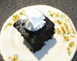 American Mrs Scotts Chocolate Vinegar Cake Appetizer