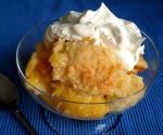 American Super Easy Peach Cobbler 1 Appetizer