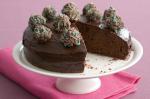 American Chocolate Peppermint Truffle Cake Recipe 1 Dessert