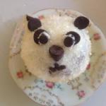 American Chocolate Muffins Disguised as Pandas Dessert