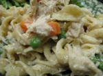 American Quick and Easy Stovetop Tuna Noodle Casserole Dinner