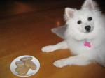 American Peanut Butter Dog Treats 1 Appetizer