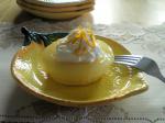 American Meyerlemon Pudding Cake Dessert