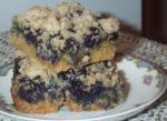 American Blueberry Oat Squares Dessert