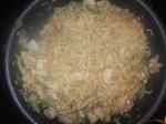 American Quick and Easy Chicken Lo Mein Appetizer