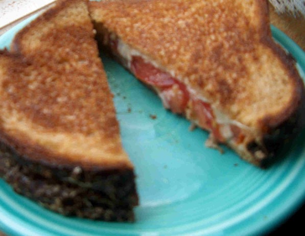 American Different Toasted Tomatocheese Sandwich Appetizer