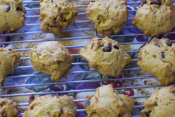 American Egg Free Pumpkin Chocolate Chip Cookies Dessert