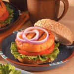 American Teriyaki Salmon Burgers Appetizer