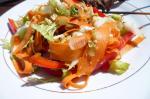 Chinese Chinese Cabbage Salad  Coleslaw Dinner