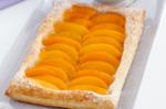 Canadian Peach Galette Recipe Dessert