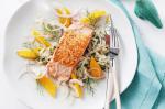 Salmon With White Wine Risoni and Fennel Orange Salad Recipe recipe