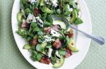 American Watercress Avocado Bacon and Blue Cheese Salad Appetizer