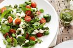 Australian Cherry Tomato Cress And Broad Bean Salad Recipe Appetizer