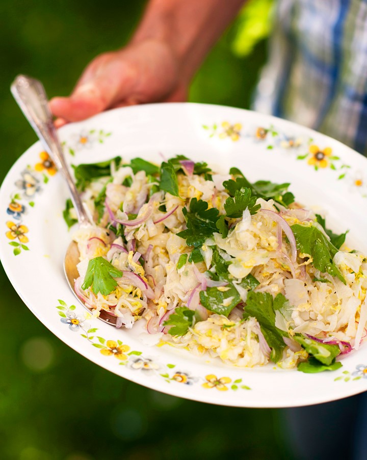 Chinese Chinese Cabbage Slaw with Fennel Hard Cheese and Walnut Oil Appetizer