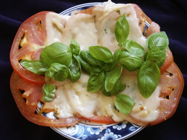 Italian Tomato Bruschetta 9 Appetizer