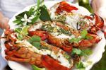 American Lobster With Lime And Corriander Butter Recipe Appetizer