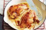 American Quinceglazed Chicken With Cranberry Manchego and Pine Nut Salad Recipe Dinner