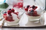 American Raspberry Ripple Meringue Recipe Dessert