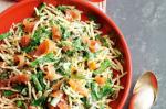 American Smoked Salmon Pasta Salad Recipe 2 Appetizer