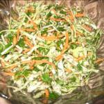 American Simple and Healthy Cabbage Salad Appetizer