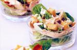 American Lowfat Chicken Caesar Salad Recipe Appetizer