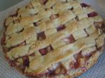 Australian Apple Cranberry Lattice Tart Dessert