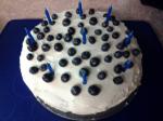 American Blueberry Bundt Cake 2 Appetizer
