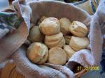 American Big Angel Biscuits Appetizer