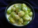 American Brussels Sprouts Braised in Cream Appetizer