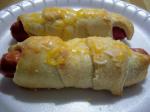 American Crescent Wrapped Hot Dogs Appetizer