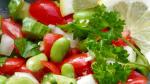 Canadian Fava Bean Salad Recipe Appetizer
