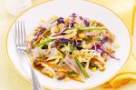 American Crunchy Noodle And Pork Salad Recipe Dinner