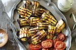 Australian Eggplant Involtini With Roasted Roma Tomatoes Recipe Appetizer
