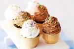Australian Icecream Cone Cupcakes Recipe Dessert