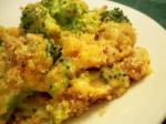 American Scalloped Broccoli and Cheese Casserole Appetizer