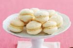 Australian Vanilla Macarons Recipe Dessert