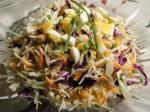 Australian Coleslaw With Peanuts and Raisins Appetizer