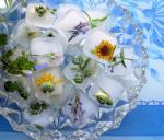 Australian Flowers and Posies Frozen in Time Fresh Floral Ice Cubes Appetizer