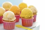 American Martha Stewarts Icecream Cupcakes Recipe Dessert