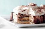 American Marthas Fudgy Icecream Cake Recipe Dessert