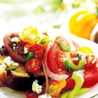 Italian Toasted Bread and Tomato Salad Appetizer