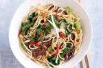 American Soysesame Beef And Egg Noodle Stirfry Recipe Appetizer
