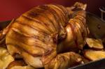 Turkish Baconwrapped Roast Turkey Recipe Appetizer