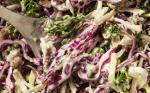 Turkish Broccoli Slaw Recipe 20 Appetizer