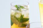 Canadian Ginger Mojito Recipe Appetizer