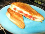 Italian Kicked up Grilled Bolognacheese Sandwich Appetizer